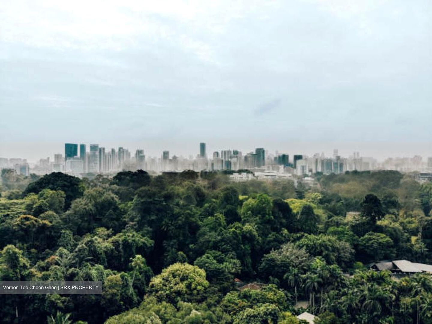 Tanglin Hill (D10), Detached #460822291